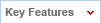 Key Features