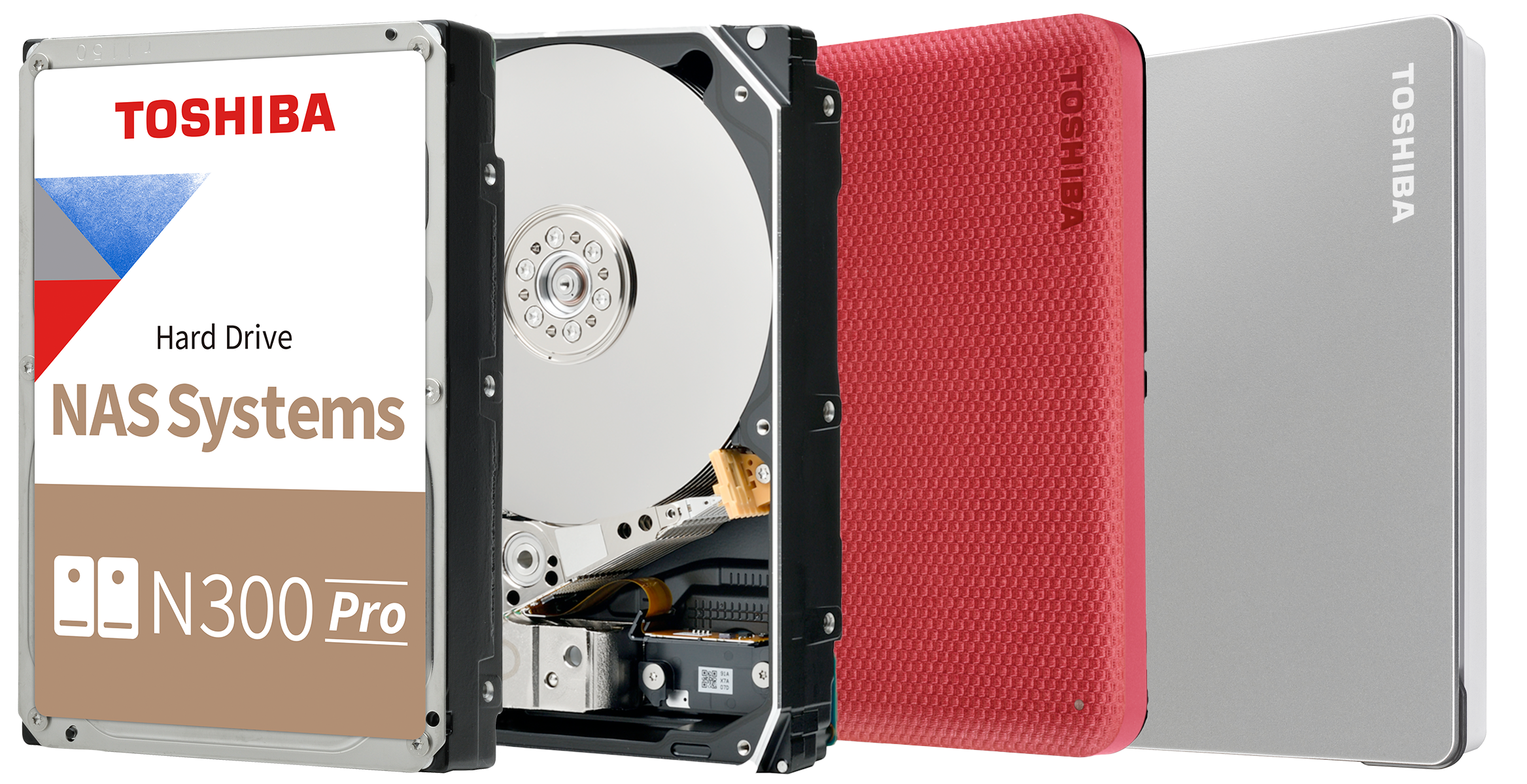 NAS N300 Pro Upgrade Storage Group