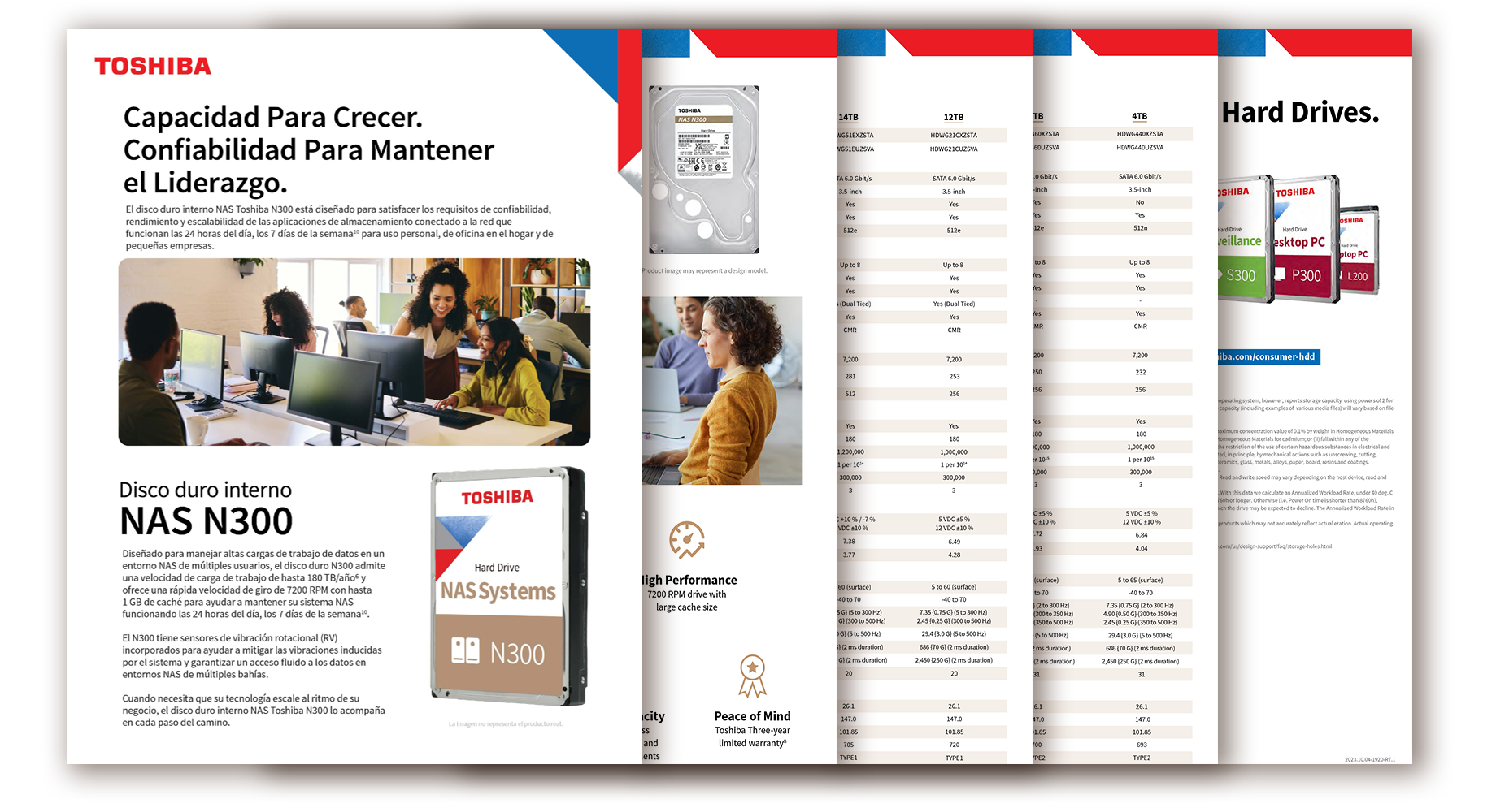 Image of N300 Data Sheet