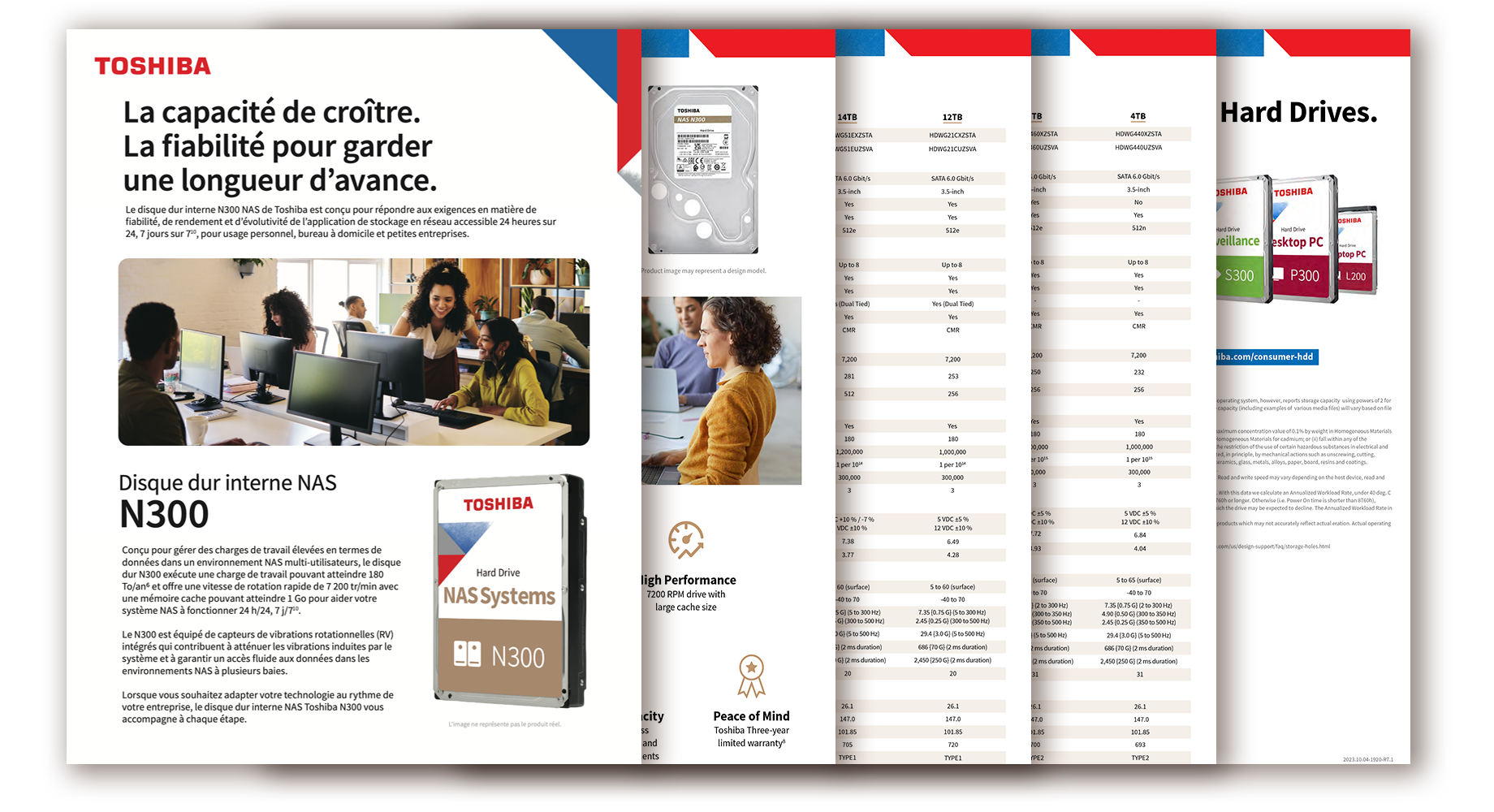 Image of N300 Data Sheet