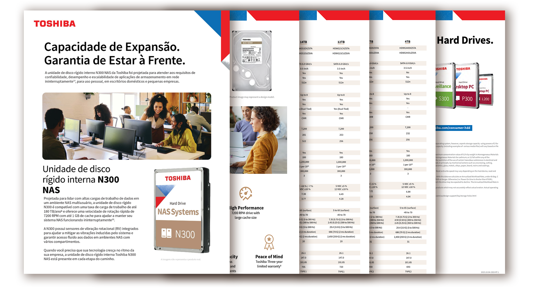 Image of N300 Data Sheet