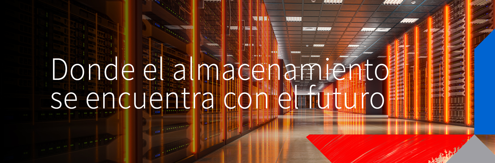 When Storage Meets the Future