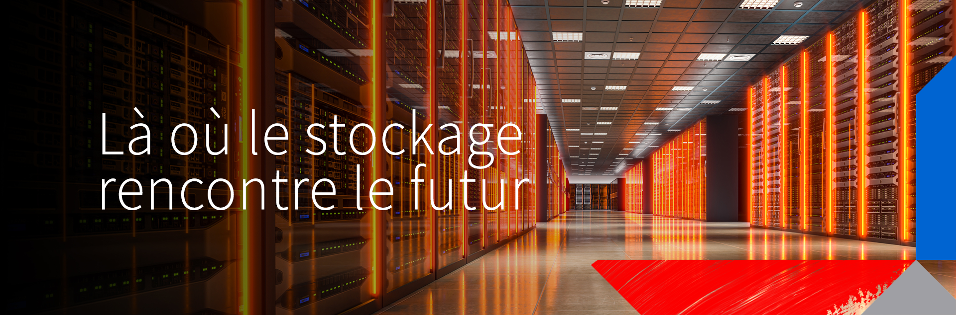 When Storage Meets the Future