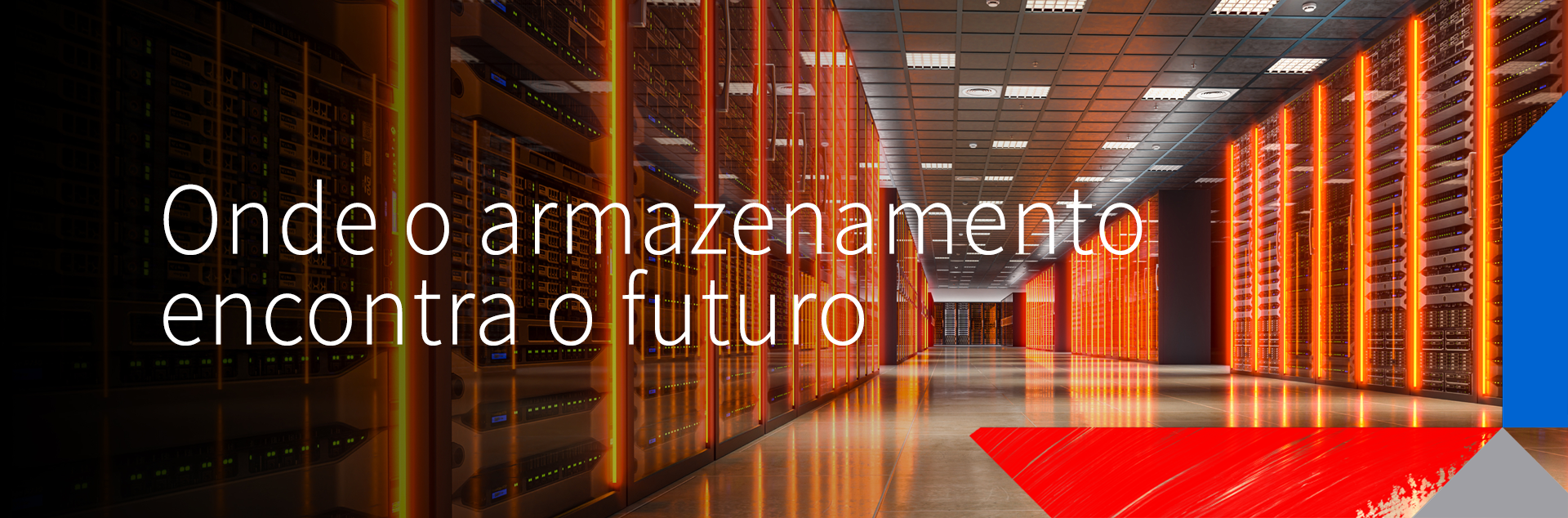 When Storage Meets the Future