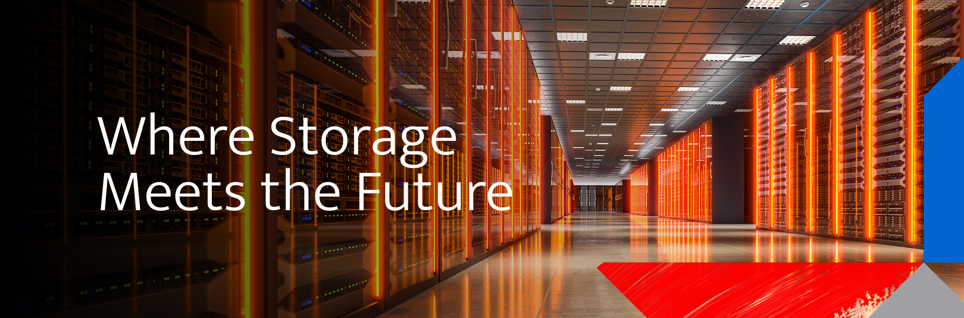 Consumer - Where Storage Meets the Future