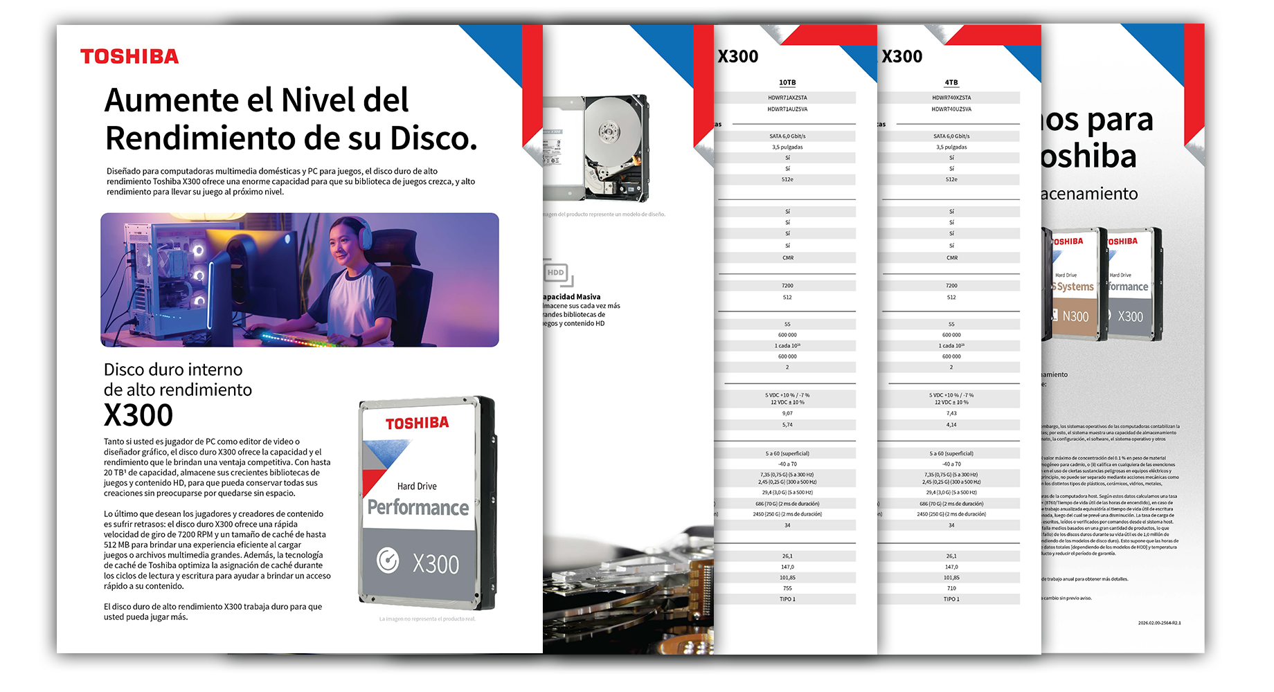 Image of X300 Data Sheet