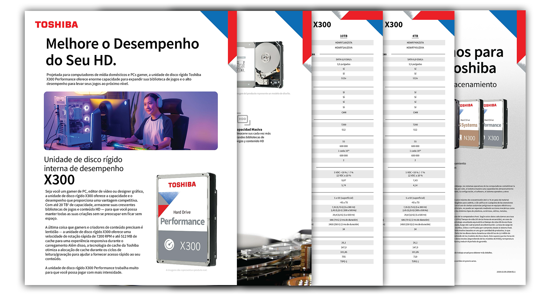 Image of X300 Data Sheet